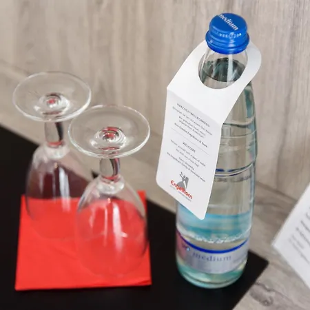 Ξενοδοχείο Engelhorn